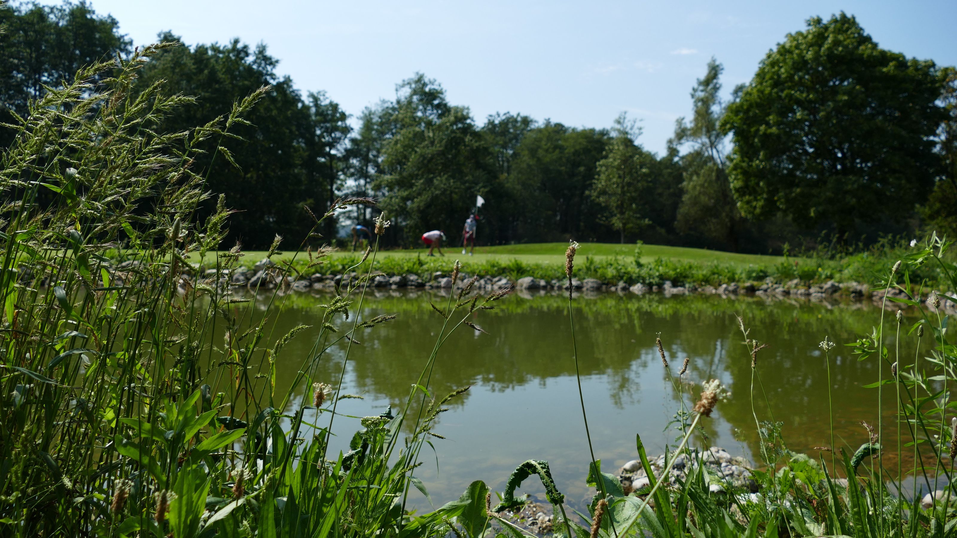 Golf&Natur im GC Altötting-Burghausen. © DGV/Kirmaier