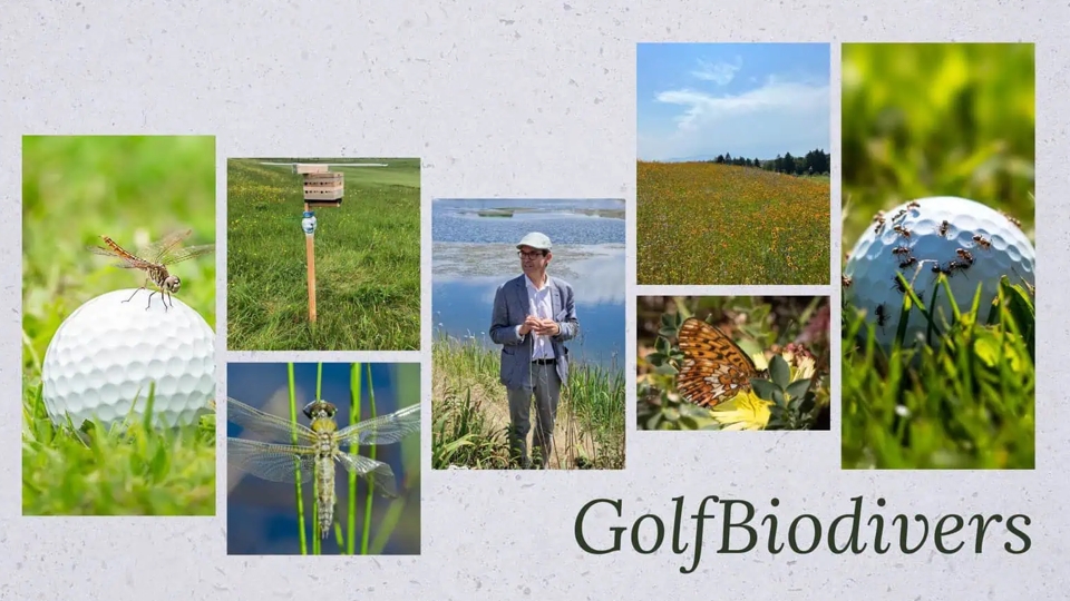 Biodiversität auf dem Golfplatz