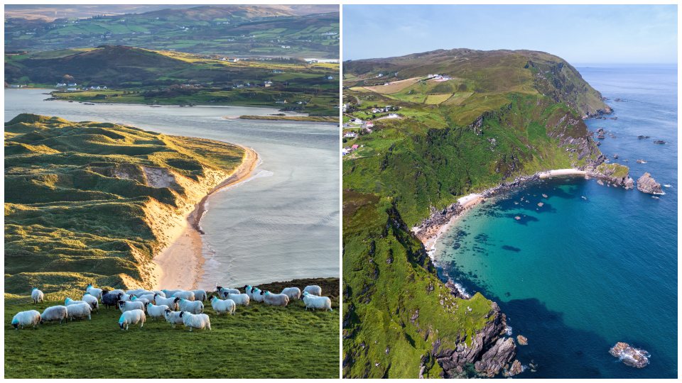 Sheep, Five Finger Strand, Malin, Donegal I Ross Head Bay, Malin head Co, Donegal