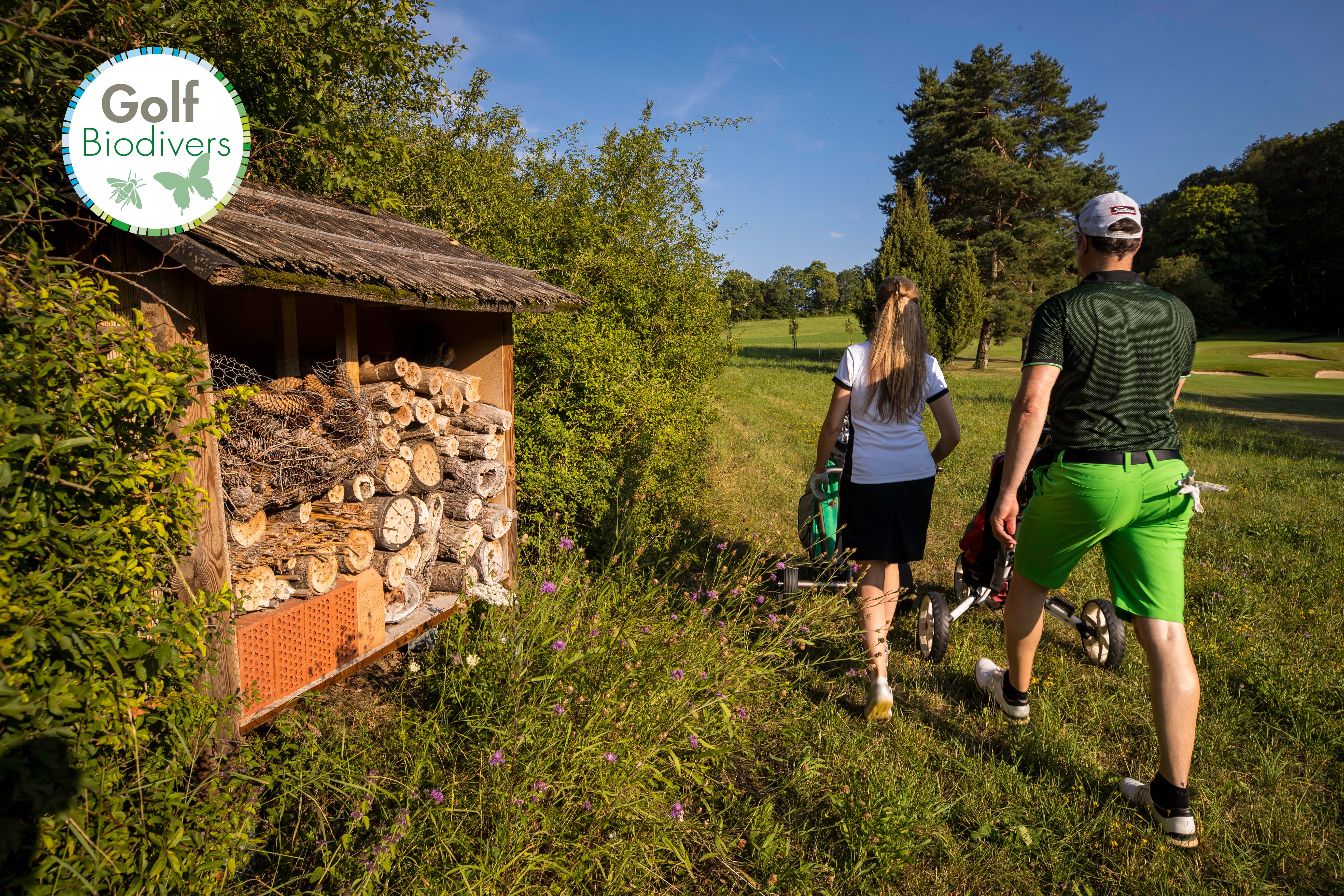 Positive Zwischenbilanz des Projektes GolfBiodivers im Bundesprogramm Biologische Vielfalt.