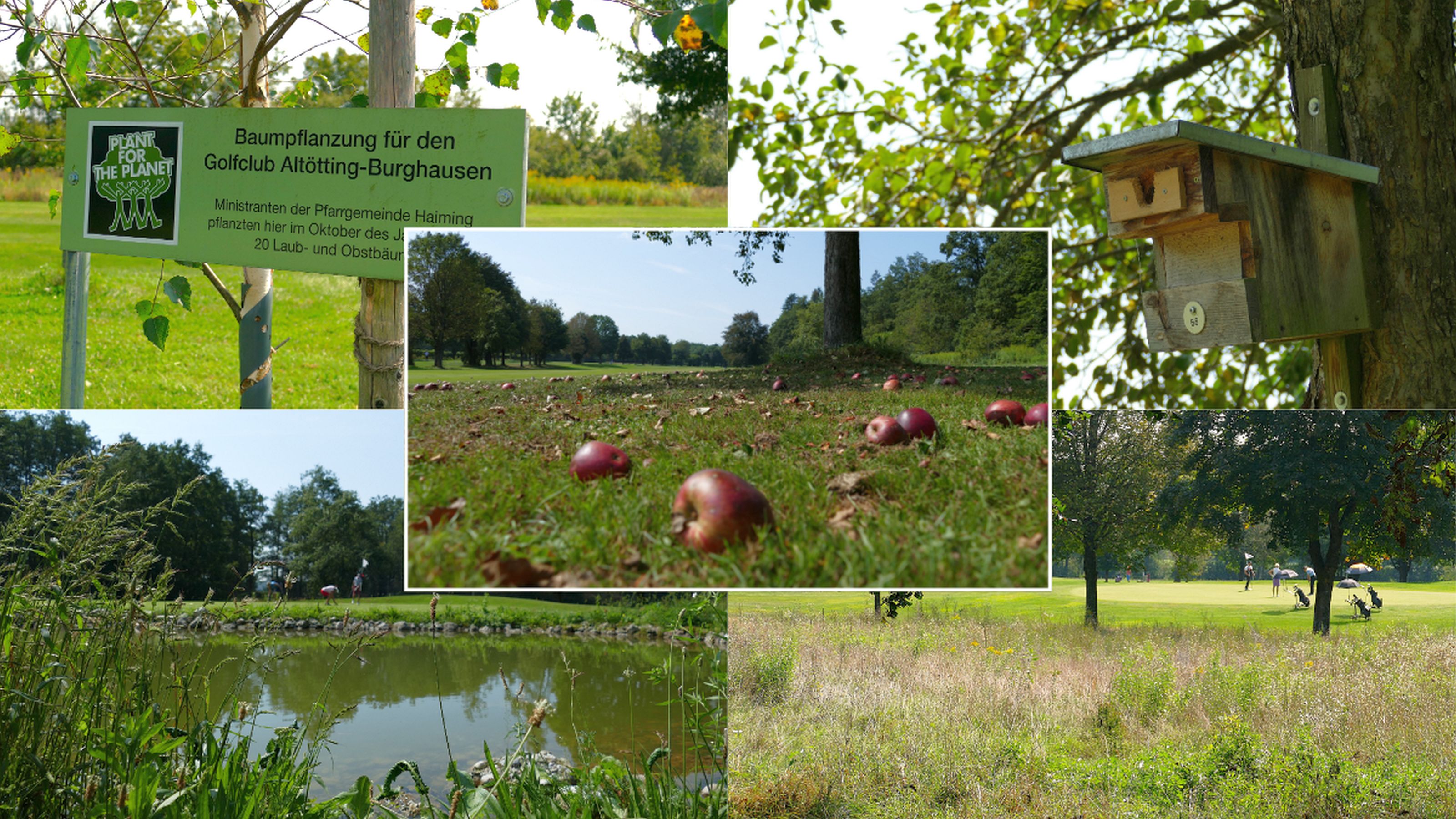 Golfen in herrlicher Natur: Beim GC Altötting-Burghausen gleich zweimal möglich. Der Club erhielt jüngst zum ersten Mal Gold beim DGV-Programm Golf&Natur. © DGV/Kirmaier